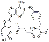 N-(3-carboxypropionyl)-L-tyrosine, 2'-ester with adenosine cyclic 3',5'-(hydrogen phosphate) Struktur