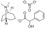 rac-(1β,5β)-3α-[[(R*)-ヒドロキシフェニルアセチル]オキシ]-8,8-ジメチル-8-アゾニアビシクロ[3.2.1]オクタン/硝酸,(1:1) 化学構造式