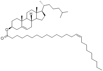 CHOLESTERYL NERVONATE|CHOLESTERYL NERVONATE