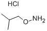 O-ISOBUTYLHYDROXYLAMINE HYDROCHLORIDE Structure