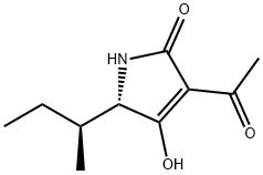 (S)-3-アセチル-1,5-ジヒドロ-4-ヒドロキシ-5-[(S)-1-メチルプロピル]-2H-ピロール-2-オン 化学構造式