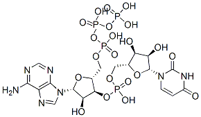 adenosine triphosphate uridine monophosphate Struktur