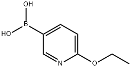 (6-ETHOXYPYRIDIN-3-YL)BORONIC ACID|2-乙氧基吡啶-5-硼酸