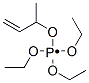 Phosphoranyl, triethoxy(1-methyl-2-propenyl)oxy-|