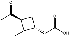 (1R,3S)-3-アセチル-2,2-ジメチルシクロブタン酢酸 化学構造式