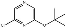 2-CHLORO-6-TERT-BUTYL PYRAZINE Structure