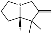 1H-Pyrrolizine,hexahydro-1,1-dimethyl-2-methylene-,(7aS)-(9CI) 化学構造式