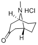 PSEUDOPELLETIERINE HYDROCHLORIDE Struktur