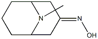 9-メチル-9-アザビシクロ[3.3.1]ノナン-3-オンオキシム 化学構造式
