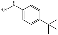 p-tert-ブチルフェニルヒドラジン 化学構造式