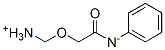 acetanilide, mono(aminomethoxy) derivative|