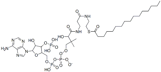 [5-(6-aminopurin-9-yl)-4-hydroxy-3-phosphonooxyoxolan-2-yl]methyl [[4-[[3-(2-hexadecanoylsulfanylethylamino)-3-oxopropyl]amino]-3-hydroxy-2,2-dimethyl-4-oxobutoxy]-oxidophosphoryl] phosphate Struktur