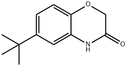 6-(TERT-ブチル)-2H-1,4-ベンゾキサジン-3(4H)-オン 化学構造式
