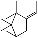 2-[(Z)-Ethylidene]-1,7,7-trimethylbicyclo[2.2.1]heptane Struktur