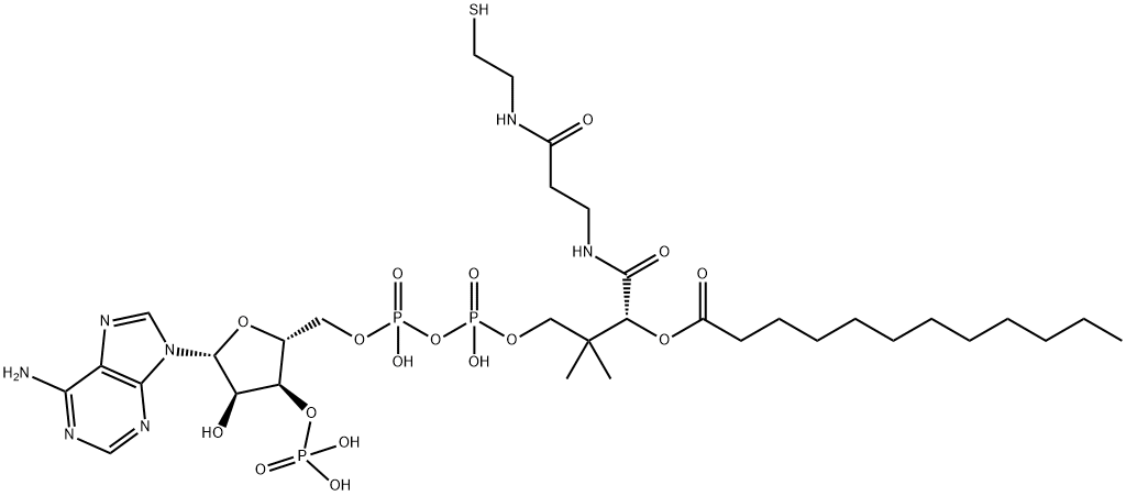 月桂酰辅酶A, 6244-92-4, 结构式