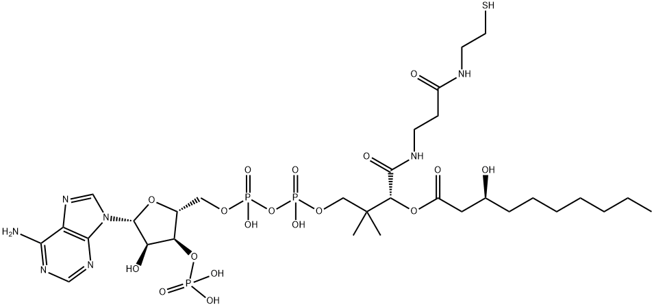(S)-3-ヒドロキシデカノイル-CoA 化学構造式