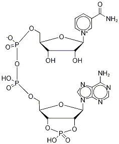 2',3'-cyclic NADP Struktur