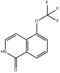 5-(trifluoroMethoxy)isoquinolin-1(2H)-one Struktur