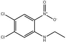 4,5-ジクロロ-N-エチル-2-ニトロベンゼンアミン 化学構造式