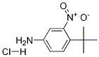 4-叔丁基-3-硝基苯胺盐酸盐, 6310-20-9, 结构式