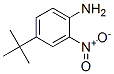 4-TERT-BUTYL-2-NITROANILINE Struktur