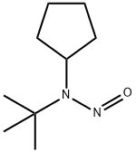 Cyclopentanamine, N-(1,1-dimethylethyl)-N-nitroso- (9CI) Structure