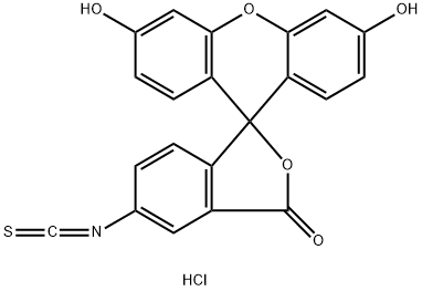 3,6-ジヒドロキシ-5'-イソチオシアナトスピロ[9H-キサンテン-9,1'(3'H)-イソベンゾフラン]-3'-オン·塩酸塩 化学構造式