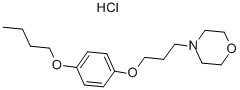 Pramoxine hydrochloride Struktur