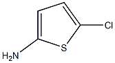 5-CHLORO-THIOPHEN-2-YLAMINE|5-CHLORO-THIOPHEN-2-YLAMINE