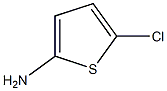 5-CHLORO-THIOPHEN-2-YLAMINE Structure