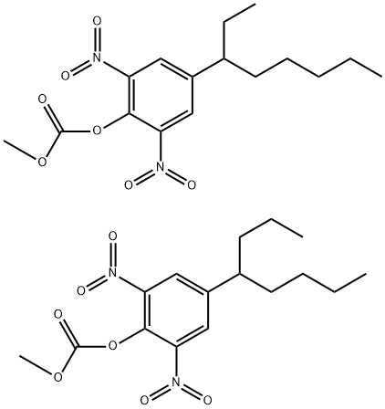 Dinoctin-P Struktur