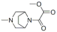 8-(2-Methoxy-1,2-dioxoethyl)-3-methyl-3,8-diazabicyclo[3.2.1]octane Structure