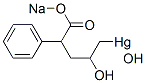 [2-Hydroxy-4-phenyl-5-(sodiooxy)-5-oxopentyl]hydroxymercury(II) Struktur