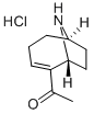 (+)-ANATOXIN A HYDROCHLORIDE Structure
