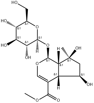 (1S)-1α-(β-D-グルコピラノシルオキシ)-1,4aα,5,6,7,7aα-ヘキサヒドロ-5α,7α-ジヒドロキシ-7β-メチルシクロペンタ[c]ピラン-4-カルボン酸メチル 化学構造式