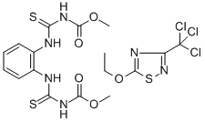 Banrot Structure