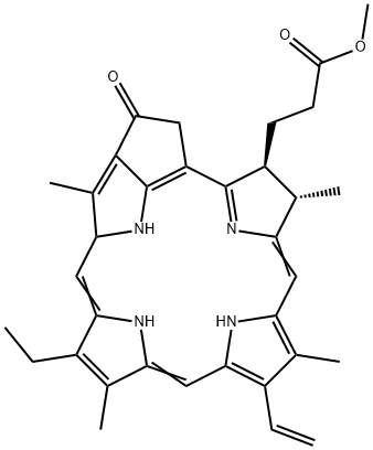 焦脱镁叶绿酸Α甲酯, 6453-67-4, 结构式