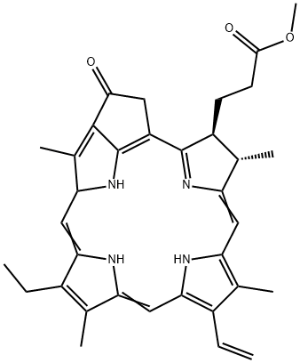 6453-67-4 焦脱镁叶绿酸Α甲酯