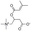 3-Methylcrotonyl L-Carnitine|