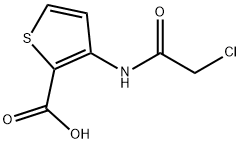 3-[(2-CHLOROACETYL)AMINO]THIOPHENE-2-CARBOXYLIC ACID 化学構造式