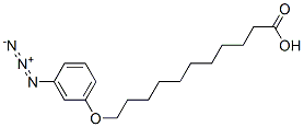 omega-(3-azidophenoxy)undecanoic acid Structure