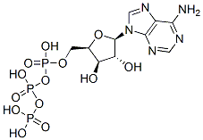 9-beta-xylofuranosyladenine 5'-triphosphate Structure