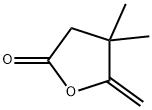 4,4-DIMETHYL-5-METHYLENE-GAMMA-BUTYROLACTONE Structure