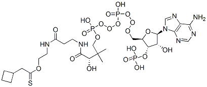 S-[2-[3-[[4-[[[(2R,3S,4R,5R)-5-(6-aminopurin-9-yl)-4-hydroxy-3-phosphonooxyoxolan-2-yl]methoxy-hydroxyphosphoryl]oxy-hydroxyphosphoryl]oxy-2-hydroxy-3,3-dimethylbutanoyl]amino]propanoylamino]ethyl] 2-cyclobutylethanethioate|