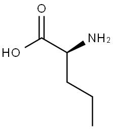 L-正缬氨酸 结构式