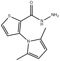3-(2,5-二甲基-1H-吡咯烷酮-1-基)噻吩-2-甲酰肼, 666724-62-5, 结构式