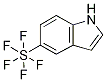5-(Pentafluorosulfanyl)-1H-indole Struktur