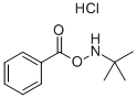 O-Benzoyl-N-tert-butylhydroxylamine Hydrochloride Struktur