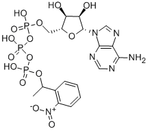 1-(2-NITROPHENYL)ETHYL ADENOSINE TRIPHOSPHATE 结构式