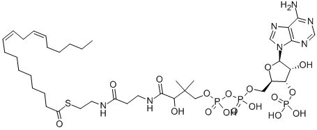 亚油酰基辅酶A,游离酸, 6709-57-5, 结构式